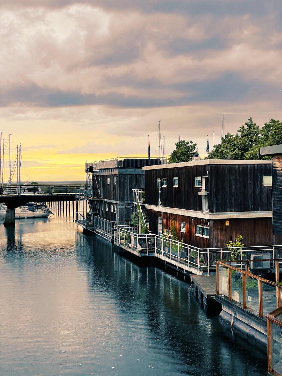 brown and white wooden house beside river during daytime